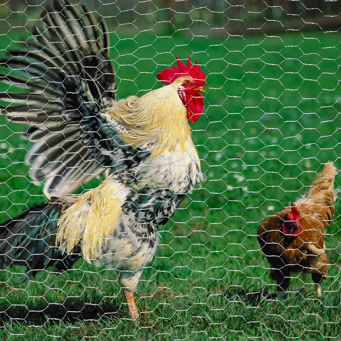 Galvanized Hardware Cloth Roll – Heavy Duty Wire Mesh for Garden & Fence