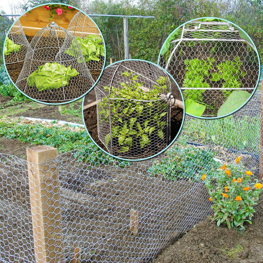 Galvanized Hardware Cloth Roll – Heavy Duty Wire Mesh for Garden & Fence
