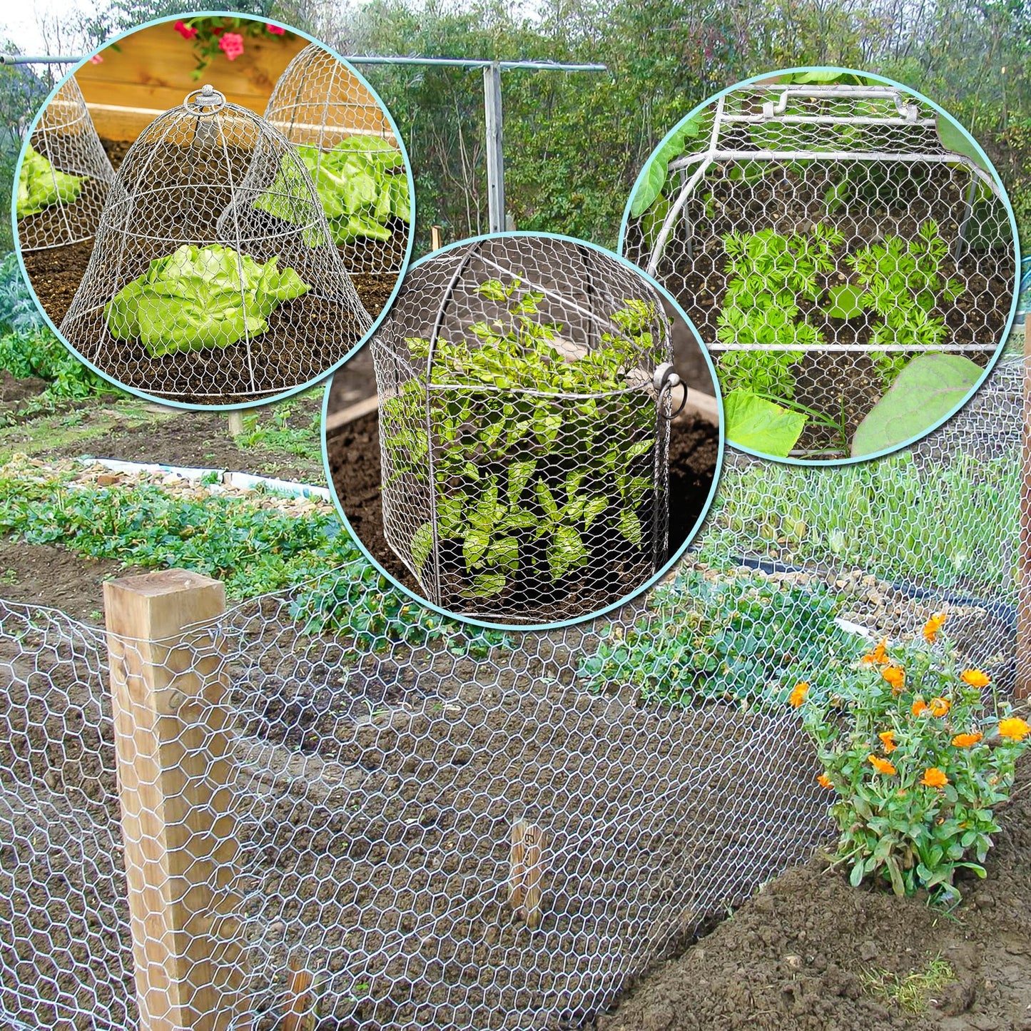 Galvanized Hardware Cloth Roll – Heavy Duty Wire Mesh for Garden & Fence